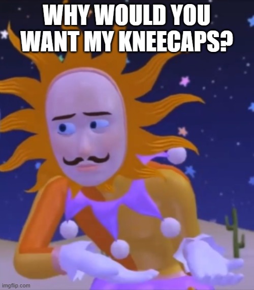 JUST WHY | WHY WOULD YOU WANT MY KNEECAPS? | image tagged in just why | made w/ Imgflip meme maker