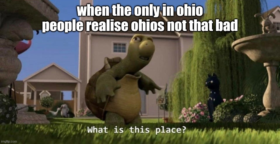 Its not that bad | when the only in ohio people realise ohios not that bad | image tagged in what is this place | made w/ Imgflip meme maker