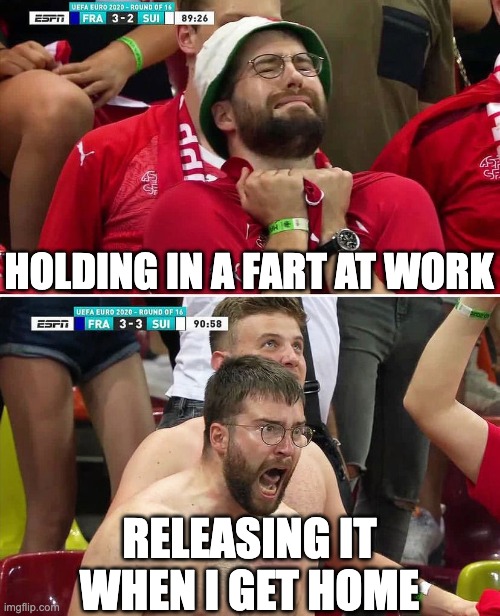 facts | HOLDING IN A FART AT WORK; RELEASING IT WHEN I GET HOME | image tagged in euro 2020 swiss fan | made w/ Imgflip meme maker