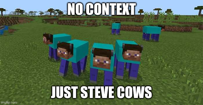 me and the boys | NO CONTEXT; JUST STEVE COWS | image tagged in me and the boys | made w/ Imgflip meme maker