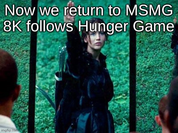 Hunger Games 2 | Now we return to MSMG 8K follows Hunger Game | image tagged in hunger games 2 | made w/ Imgflip meme maker