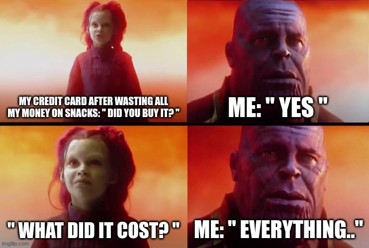 thanos what did it cost | MY CREDIT CARD AFTER WASTING ALL MY MONEY ON SNACKS: " DID YOU BUY IT? "; ME: " YES "; " WHAT DID IT COST? "; ME: " EVERYTHING.." | image tagged in thanos what did it cost | made w/ Imgflip meme maker