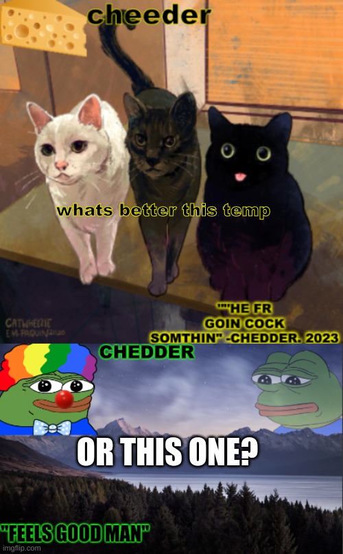 whats better this temp; OR THIS ONE? | image tagged in goofy cats temp,pepe the frog- made bt chedder | made w/ Imgflip meme maker