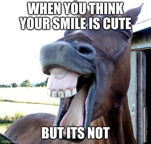 not | WHEN YOU THINK YOUR SMILE IS CUTE; BUT ITS NOT | image tagged in sorry | made w/ Imgflip meme maker