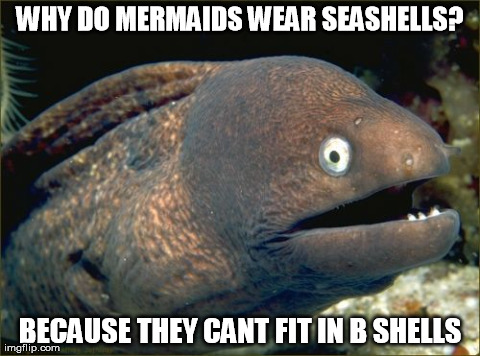 Bad Joke Eel | WHY DO MERMAIDS WEAR SEASHELLS? BECAUSE THEY CANT FIT IN B SHELLS | image tagged in memes,bad joke eel | made w/ Imgflip meme maker