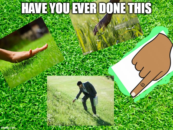 no touch grass; touched grass meme - Piñata Farms - The best meme generator  and meme maker for video & image memes