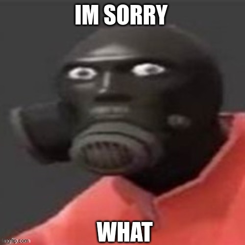 Disturbed Pyro (Credit to engineer gaming) | WHAT IM SORRY | image tagged in disturbed pyro credit to engineer gaming | made w/ Imgflip meme maker