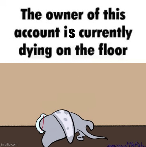 s | made w/ Imgflip meme maker