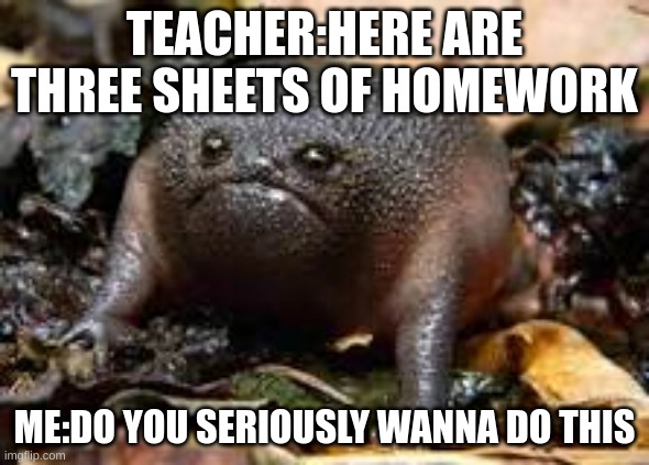 #homeworkday | TEACHER:HERE ARE THREE SHEETS OF HOMEWORK; ME:DO YOU SERIOUSLY WANNA DO THIS | image tagged in funny memes | made w/ Imgflip meme maker