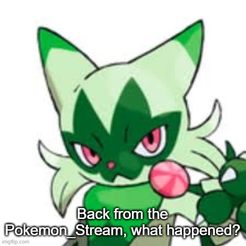 Floragato | Back from the Pokemon_Stream, what happened? | image tagged in floragato | made w/ Imgflip meme maker