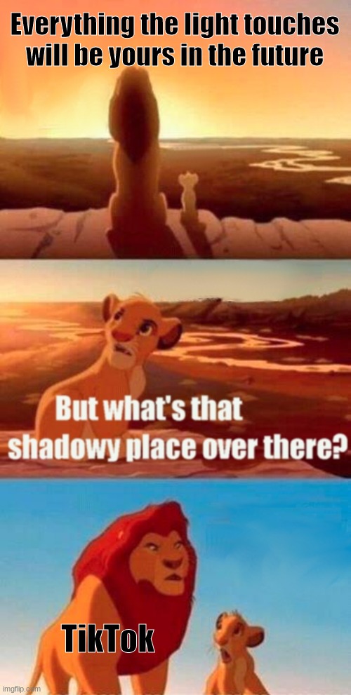 Bro, Youtube shorts be like | Everything the light touches will be yours in the future; TikTok | image tagged in memes,simba shadowy place,tiktok | made w/ Imgflip meme maker