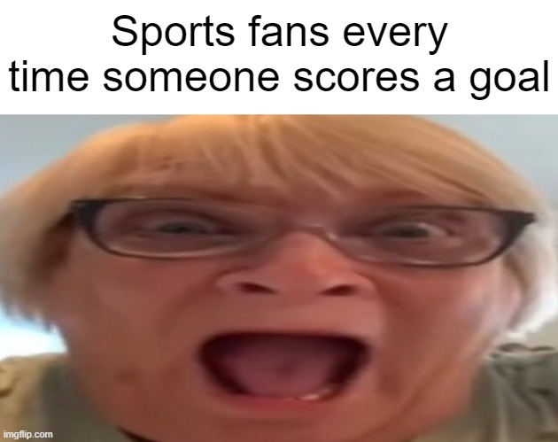 AAAAAAAAAAAAAAAAAAAAAAAAAAAAAAAAAAA | Sports fans every time someone scores a goal | image tagged in funny,true,relatable,sports | made w/ Imgflip meme maker
