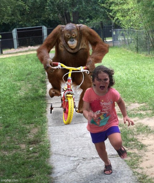 This could have been an epic shitpost. But no, it had to turn into a fun stream template. | image tagged in orangutan chasing girl on a tricycle | made w/ Imgflip meme maker
