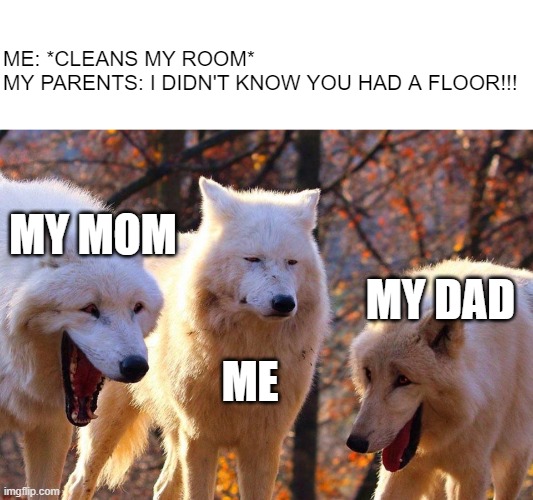 -_- | ME: *CLEANS MY ROOM*
MY PARENTS: I DIDN'T KNOW YOU HAD A FLOOR!!! MY MOM; MY DAD; ME | image tagged in 2/3 wolves laugh | made w/ Imgflip meme maker