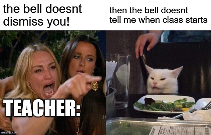 Woman Yelling At Cat Meme | the bell doesnt dismiss you! then the bell doesnt tell me when class starts; TEACHER: | image tagged in memes,woman yelling at cat,school,relatable | made w/ Imgflip meme maker