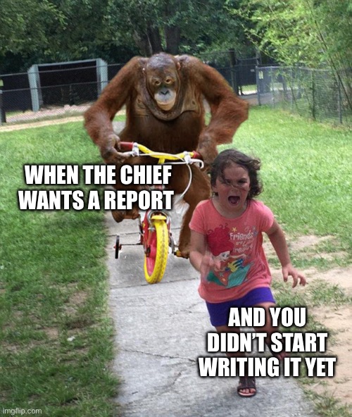 Orangutan chasing girl on a tricycle | WHEN THE CHIEF WANTS A REPORT; AND YOU DIDN’T START WRITING IT YET | image tagged in orangutan chasing girl on a tricycle | made w/ Imgflip meme maker