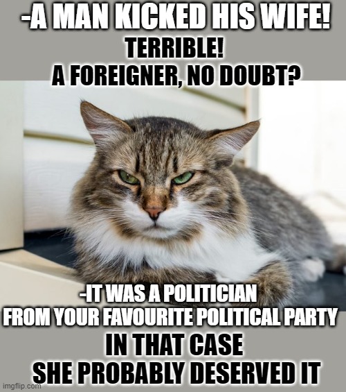 This #Lolcat wonders if we object the act or the person | -A MAN KICKED HIS WIFE! TERRIBLE! 
A FOREIGNER, NO DOUBT? -IT WAS A POLITICIAN 
FROM YOUR FAVOURITE POLITICAL PARTY; IN THAT CASE 
SHE PROBABLY DESERVED IT | image tagged in lolcat,double standards,think about it,racism,values | made w/ Imgflip meme maker