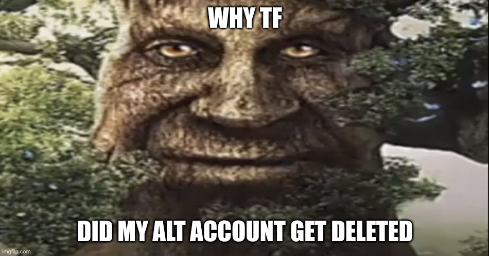 like wtf? | WHY TF; DID MY ALT ACCOUNT GET DELETED | image tagged in wise mystical tree | made w/ Imgflip meme maker