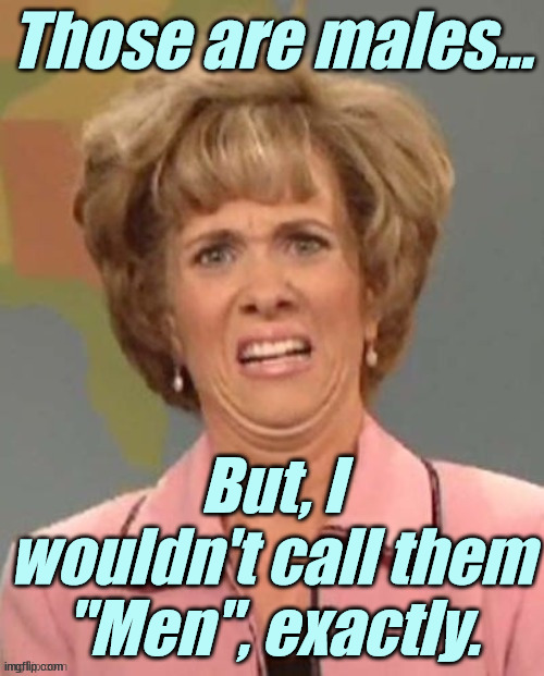 Wiig - Face of Total Disgust | Those are males... But, I wouldn't call them "Men", exactly. | image tagged in wiig - face of total disgust | made w/ Imgflip meme maker