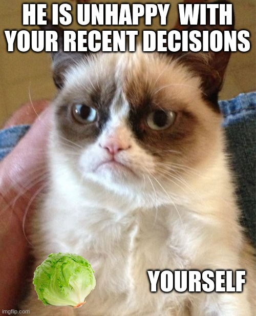 What have you done! | HE IS UNHAPPY  WITH YOUR RECENT DECISIONS; YOURSELF | image tagged in memes,grumpy cat | made w/ Imgflip meme maker
