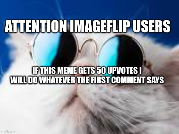 100 likes ill do the second and third | ATTENTION IMAGEFLIP USERS; IF THIS MEME GETS 50 UPVOTES I WILL DO WHATEVER THE FIRST COMMENT SAYS | image tagged in crazy,cats,scary | made w/ Imgflip meme maker