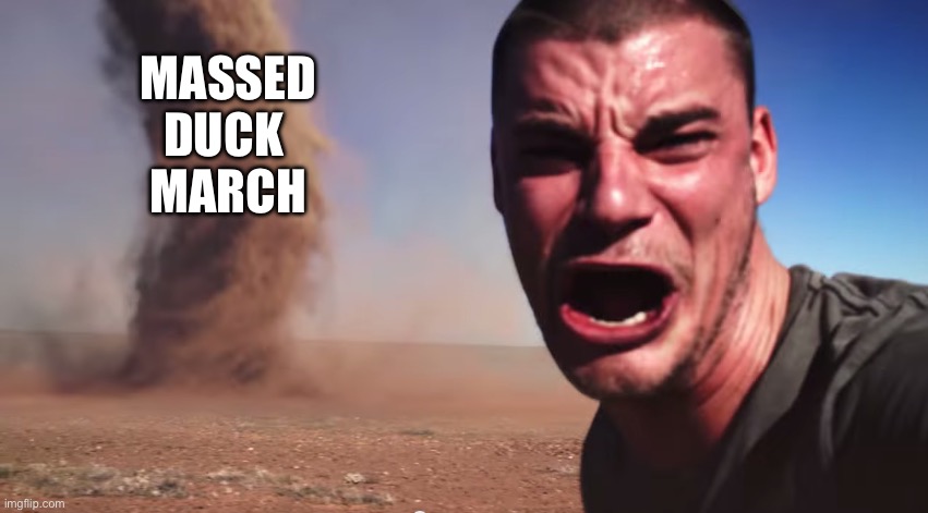 Here it comes | MASSED
DUCK 
MARCH | image tagged in here it comes | made w/ Imgflip meme maker
