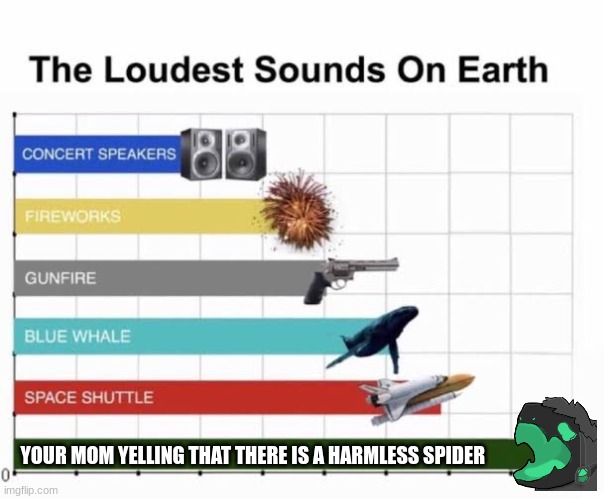 My mom lol | YOUR MOM YELLING THAT THERE IS A HARMLESS SPIDER | image tagged in the loudest sounds on earth | made w/ Imgflip meme maker