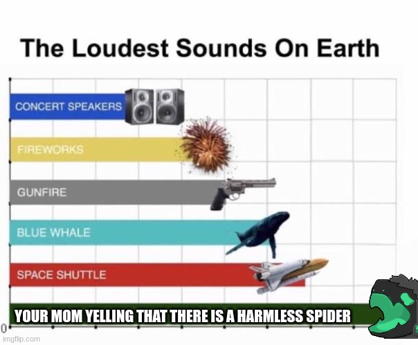 My mom be like | YOUR MOM YELLING THAT THERE IS A HARMLESS SPIDER | image tagged in the loudest sounds on earth | made w/ Imgflip meme maker