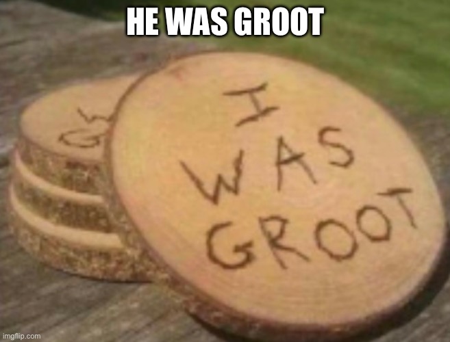 He was groot | HE WAS GROOT | made w/ Imgflip meme maker