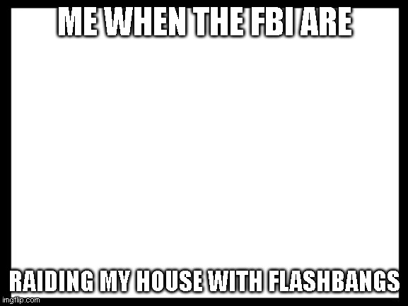 white screen | ME WHEN THE FBI ARE; RAIDING MY HOUSE WITH FLASHBANGS | image tagged in white screen | made w/ Imgflip meme maker