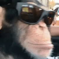 High Quality monke see Blank Meme Template