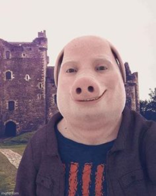 thehugepig irl | made w/ Imgflip meme maker