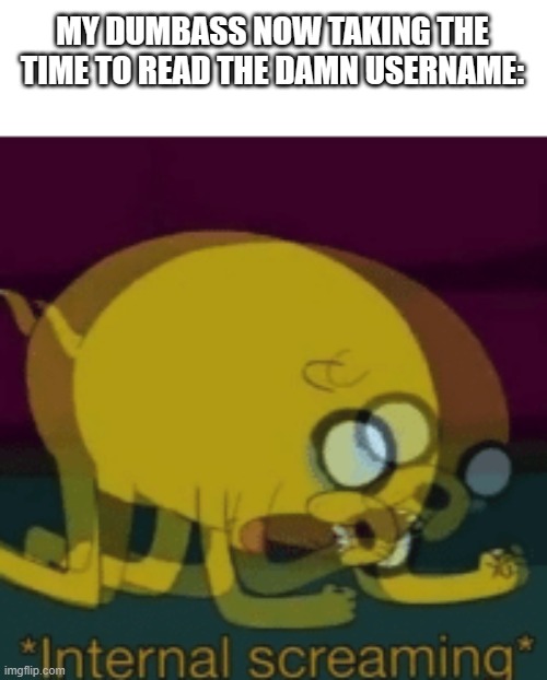 Jake The Dog Internal Screaming | MY DUMBASS NOW TAKING THE TIME TO READ THE DAMN USERNAME: | image tagged in jake the dog internal screaming | made w/ Imgflip meme maker