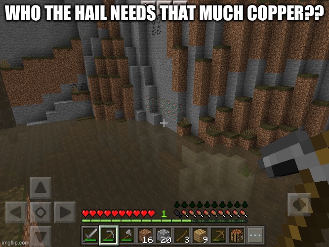 bruh | WHO THE HAIL NEEDS THAT MUCH COPPER?? | image tagged in beans | made w/ Imgflip meme maker