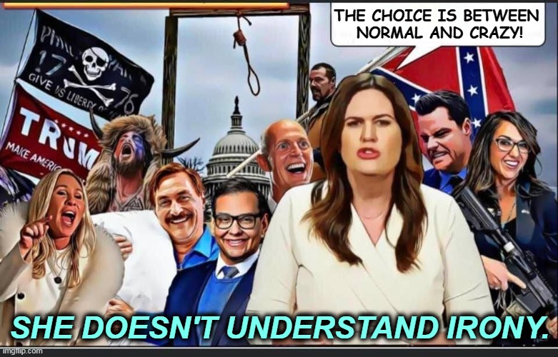 We're still laughing. | THE CHOICE IS BETWEEN 
NORMAL AND CRAZY! SHE DOESN'T UNDERSTAND IRONY. | image tagged in christian,white nationalism,maga,qanon,republican,crazy | made w/ Imgflip meme maker