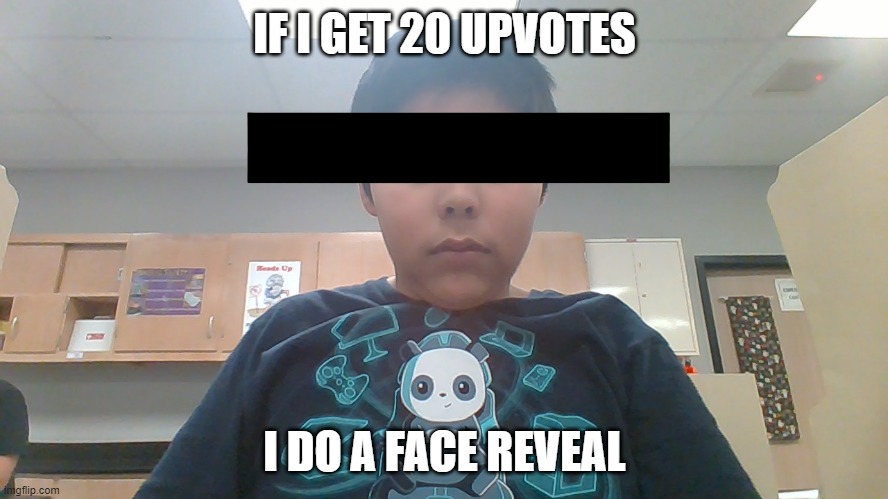face reveal!!!!! | IF I GET 20 UPVOTES; I DO A FACE REVEAL | image tagged in stupid | made w/ Imgflip meme maker