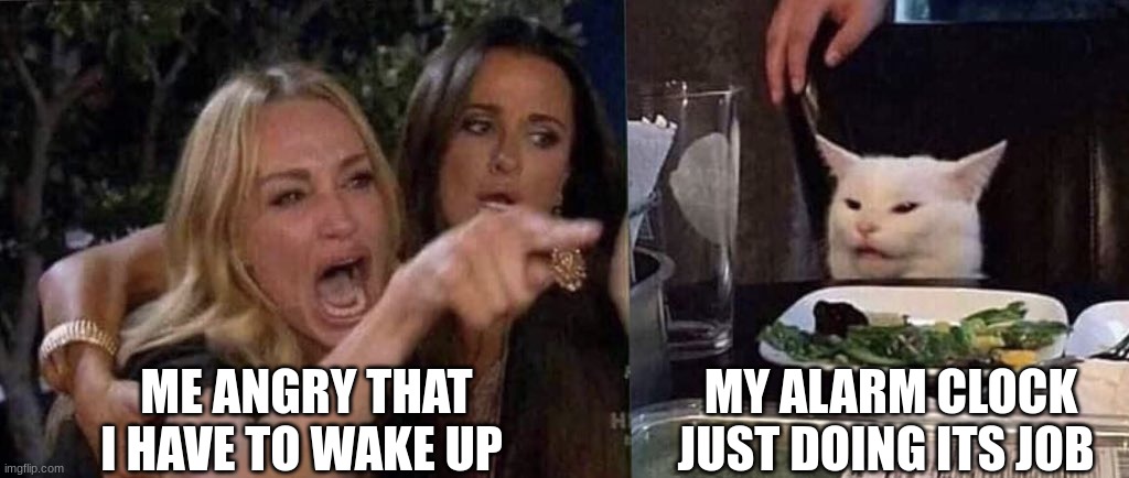 woman yelling at cat | ME ANGRY THAT I HAVE TO WAKE UP; MY ALARM CLOCK JUST DOING ITS JOB | image tagged in woman yelling at cat | made w/ Imgflip meme maker