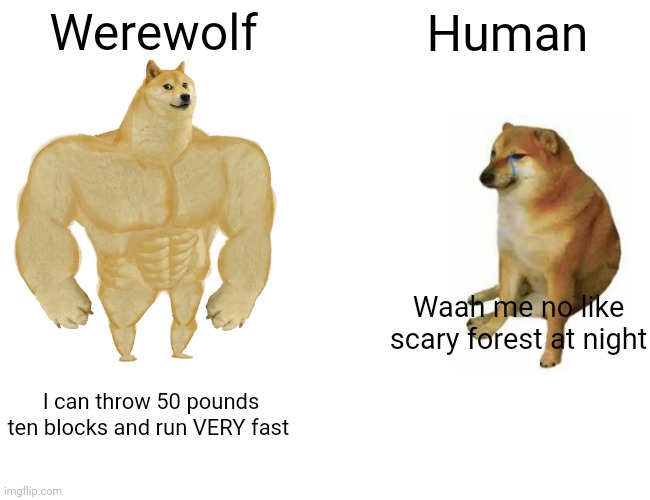 Buff Doge vs. Cheems | Werewolf; Human; Waah me no like scary forest at night; I can throw 50 pounds ten blocks and run VERY fast | image tagged in memes,buff doge vs cheems | made w/ Imgflip meme maker