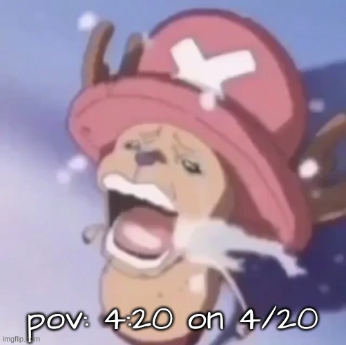 Chopper crying | pov: 4:20 on 4/20 | image tagged in chopper crying | made w/ Imgflip meme maker