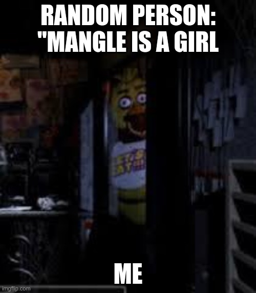 Non gender | RANDOM PERSON: "MANGLE IS A GIRL; ME | image tagged in chica looking in window fnaf,fnaf,fnaf rage | made w/ Imgflip meme maker
