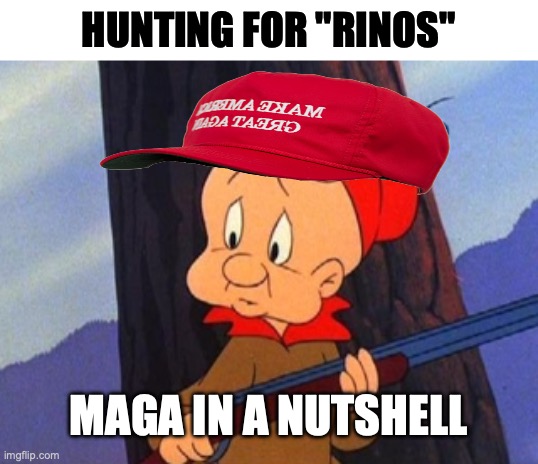 elmer fudd | HUNTING FOR "RINOS" MAGA IN A NUTSHELL | image tagged in elmer fudd | made w/ Imgflip meme maker