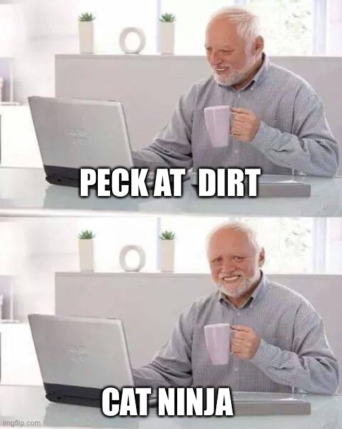 Hide the Pain Harold | PECK AT  DIRT; CAT NINJA | image tagged in memes,hide the pain harold | made w/ Imgflip meme maker