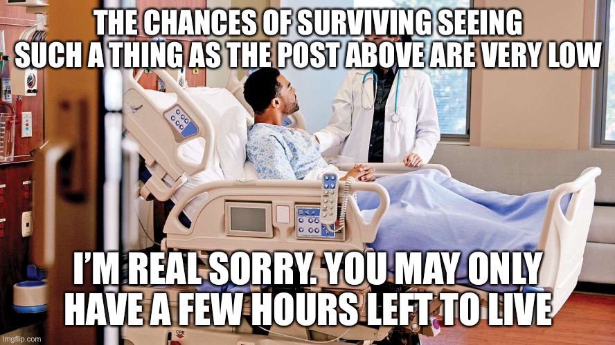 THE CHANCES OF SURVIVING SEEING SUCH A THING AS THE POST ABOVE ARE VERY LOW; I’M REAL SORRY. YOU MAY ONLY HAVE A FEW HOURS LEFT TO LIVE | made w/ Imgflip meme maker