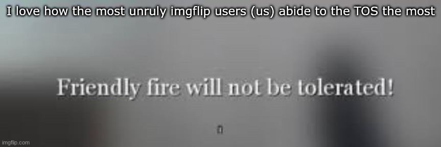 it's just ironic | I love how the most unruly imgflip users (us) abide to the TOS the most | image tagged in friendly fire will not be tolerated | made w/ Imgflip meme maker