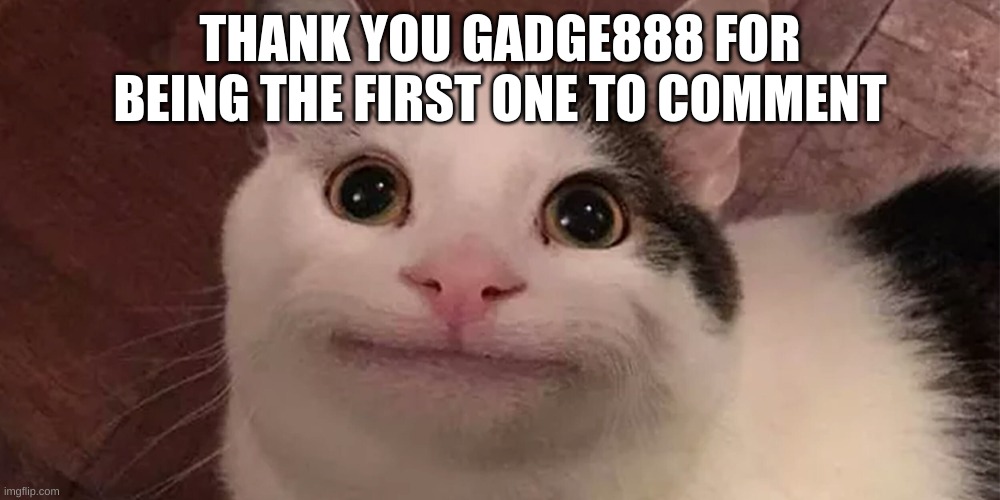 Beluga | THANK YOU GADGE888 FOR BEING THE FIRST ONE TO COMMENT | image tagged in thank you | made w/ Imgflip meme maker