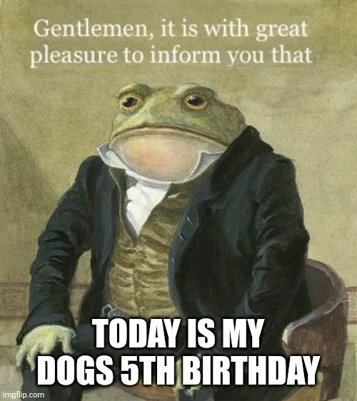 Comment happy birthday | TODAY IS MY DOGS 5TH BIRTHDAY | image tagged in colonel toad,dog,happy birthday | made w/ Imgflip meme maker