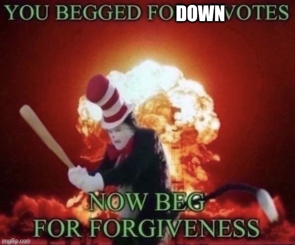 Beg for forgiveness | DOWN | image tagged in beg for forgiveness | made w/ Imgflip meme maker