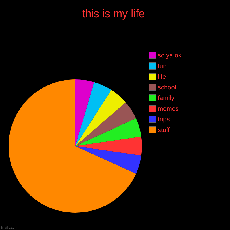 this is my life | stuff, trips, memes, family, school, life, fun, so ya ok | image tagged in charts,pie charts | made w/ Imgflip chart maker