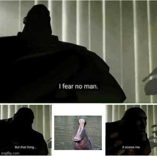 seriously fear them. and i'm in the middle of the u.s | image tagged in i fear no man,hippopotamus | made w/ Imgflip meme maker