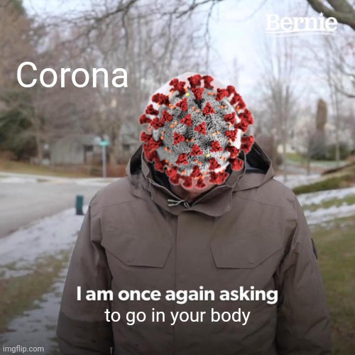 Bernie I Am Once Again Asking For Your Support | Corona; to go in your body | image tagged in coronavirus | made w/ Imgflip meme maker
